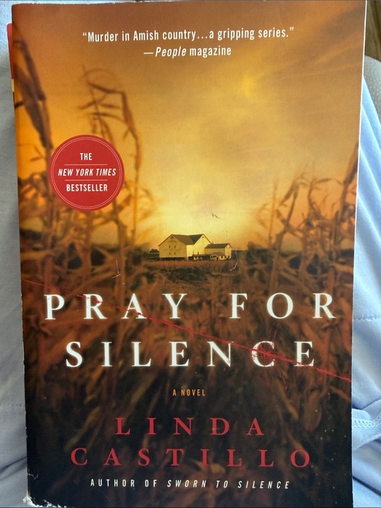 Linda Castillo Other - Pray for Silence by - Brown/Gold Cover